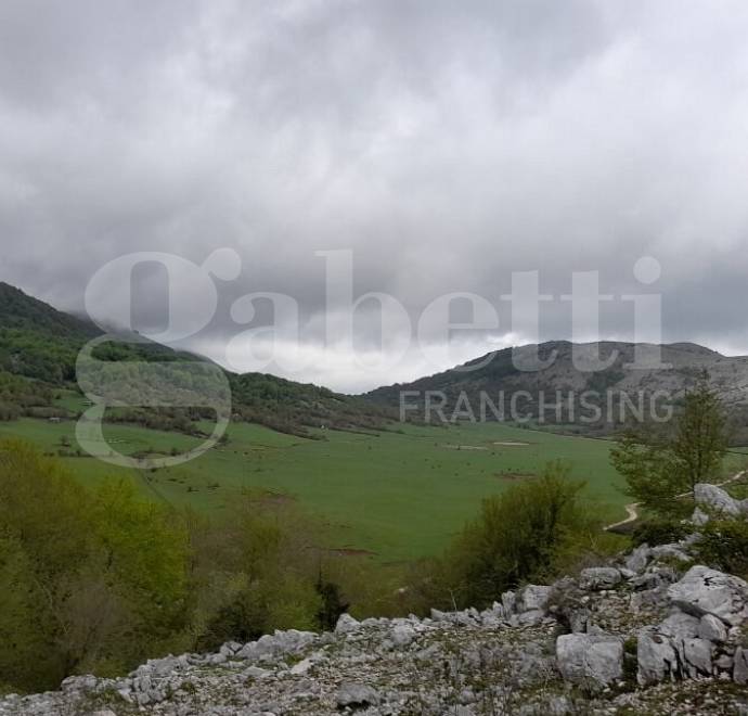  - foto 2