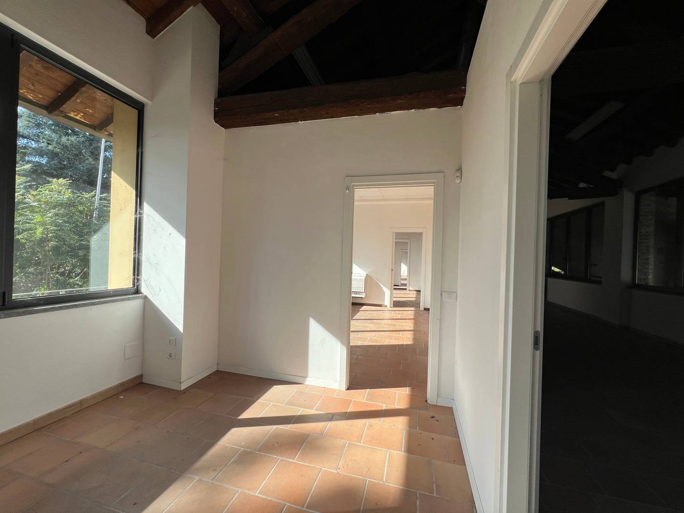 Attività  commerciale, Vigevano