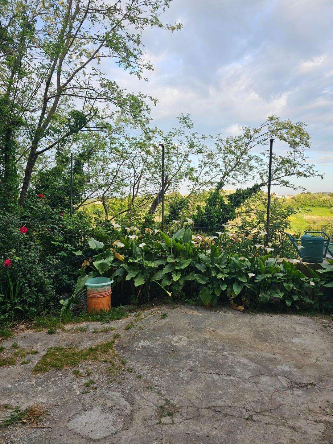  - foto 27