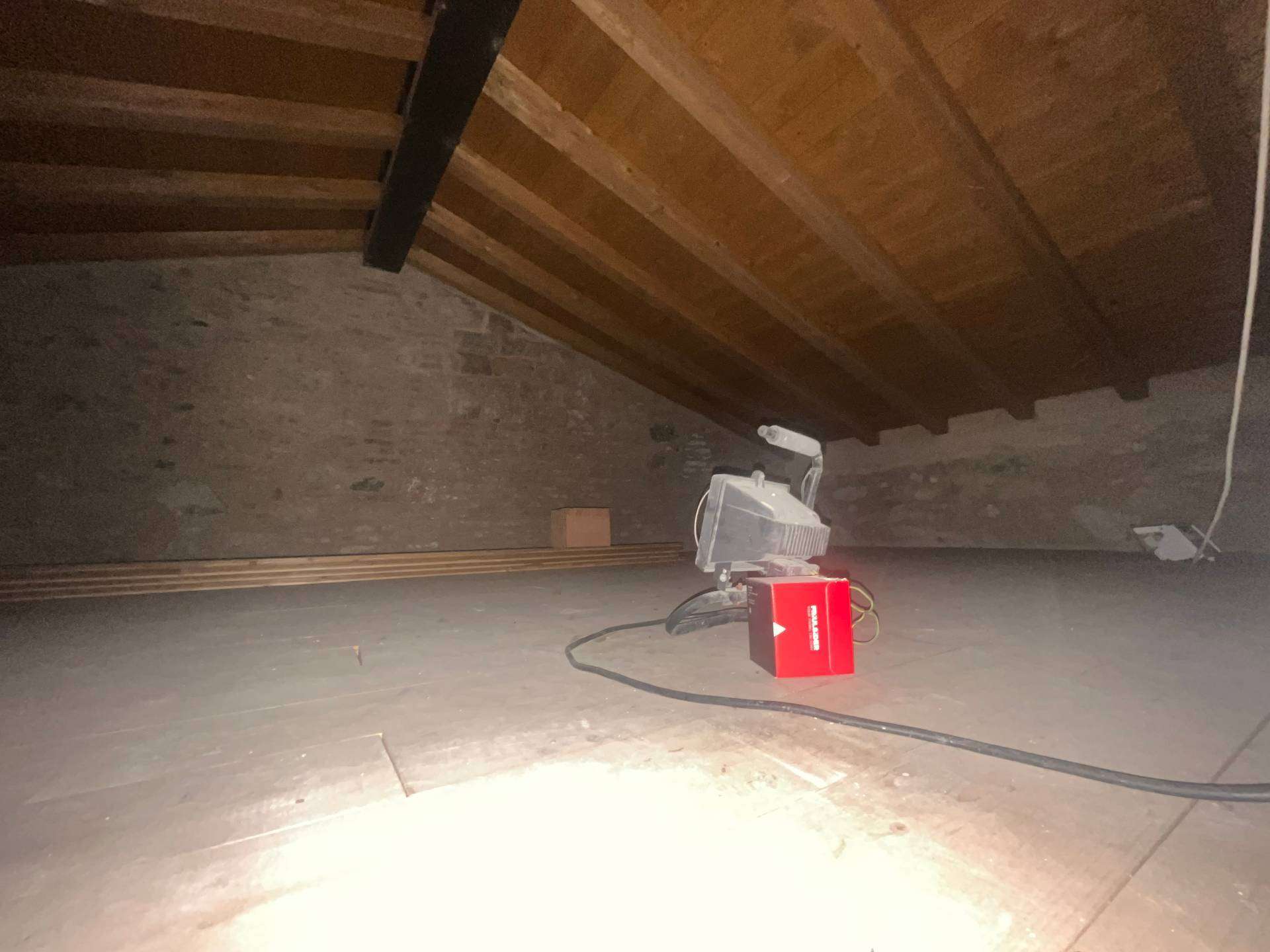  - foto 14