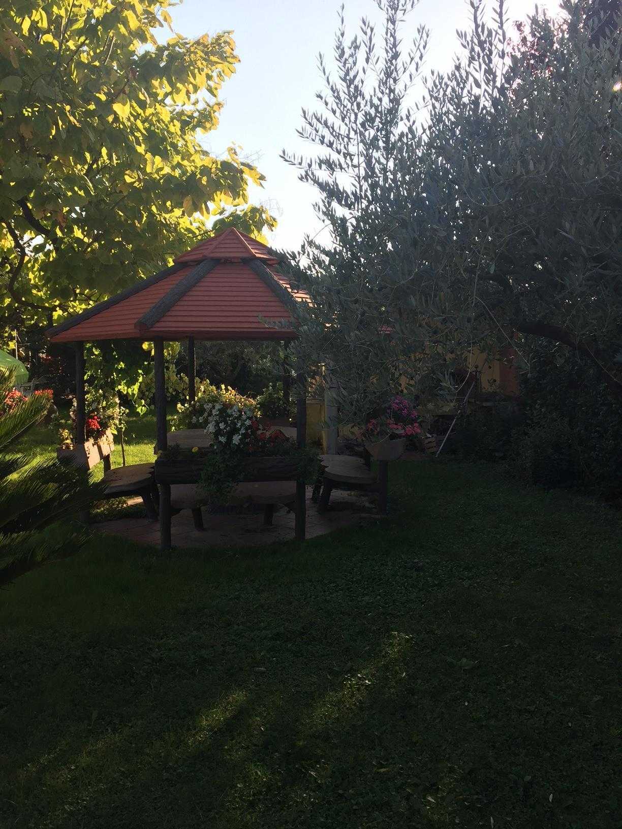 - foto 37
