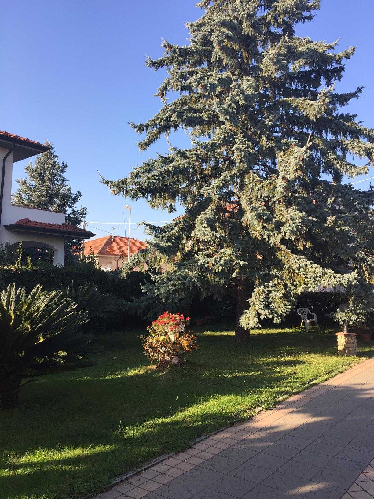  - foto 41