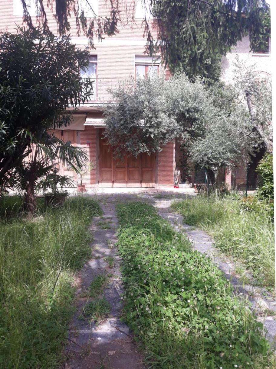  - foto 23