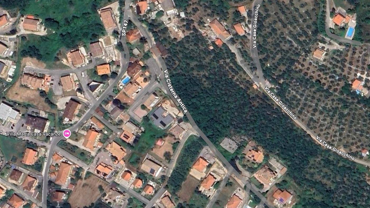  - foto 2
