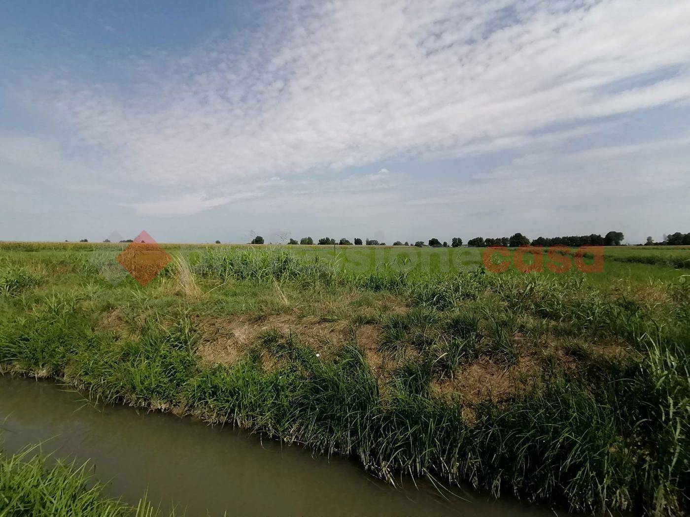 Terreno agricolo, Casaleone
