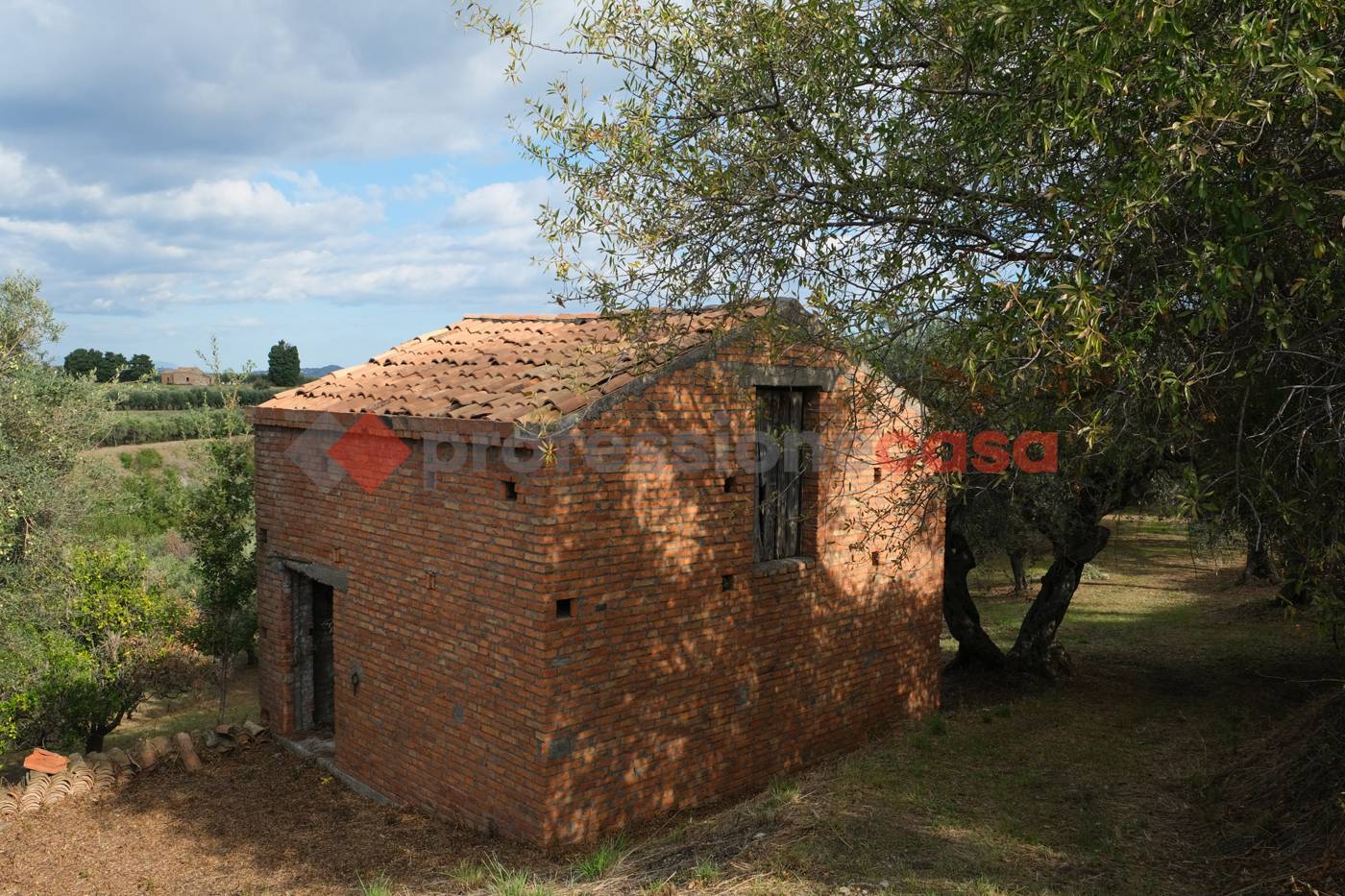  - foto 6
