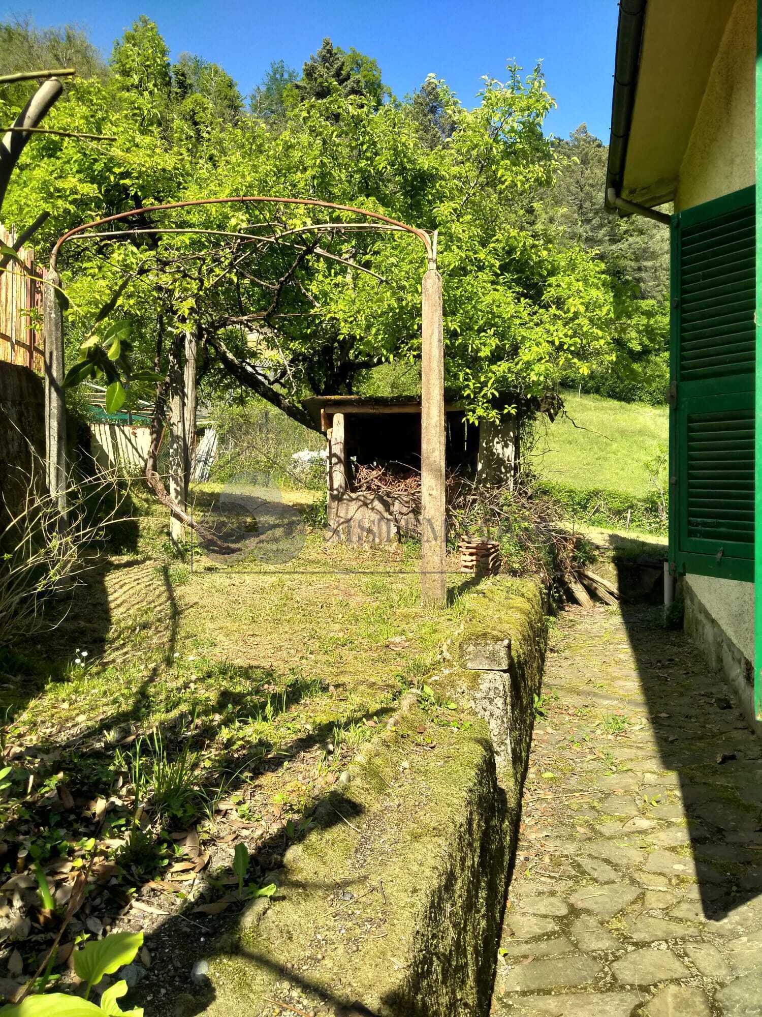  - foto 11