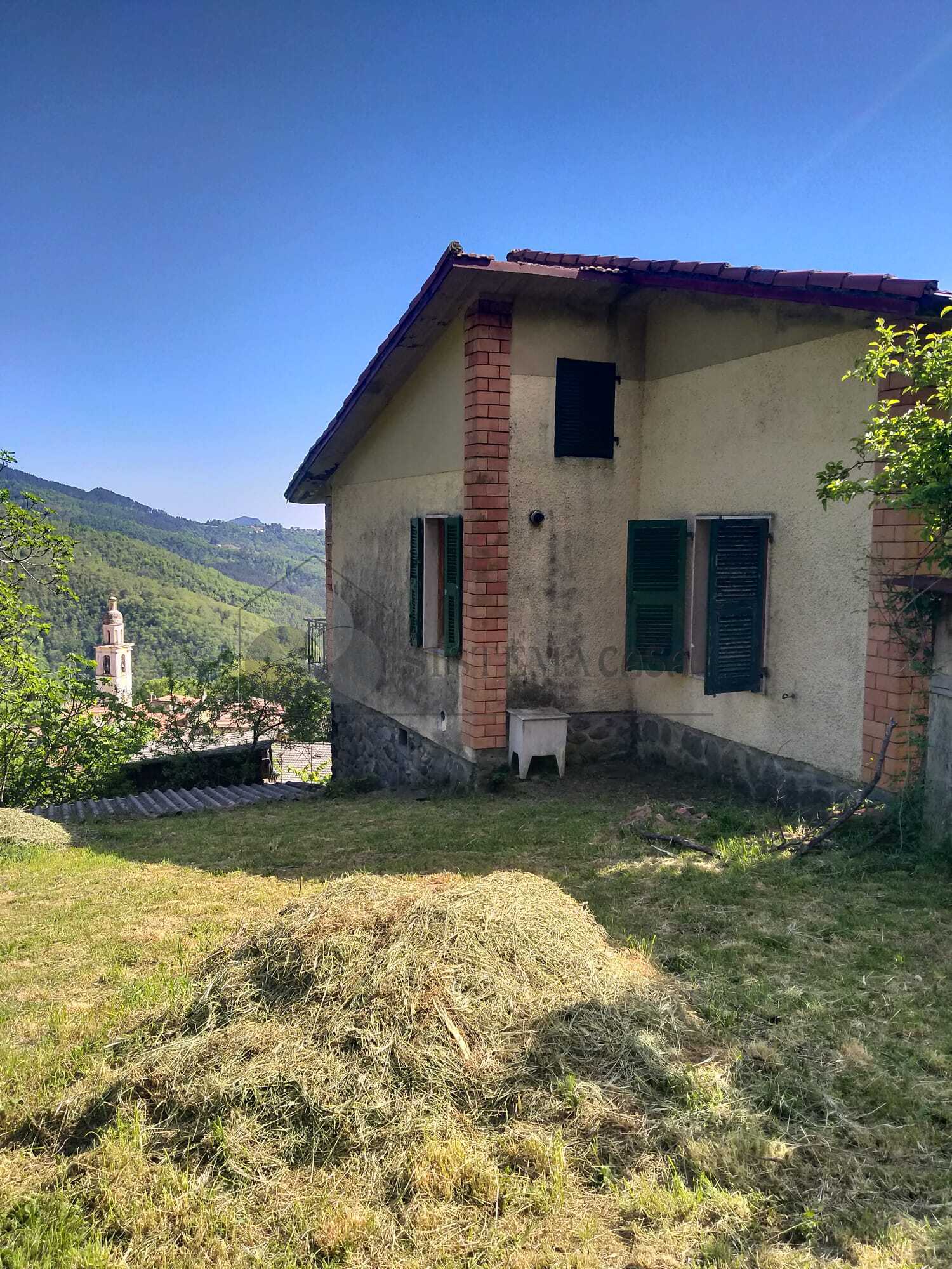  - foto 13