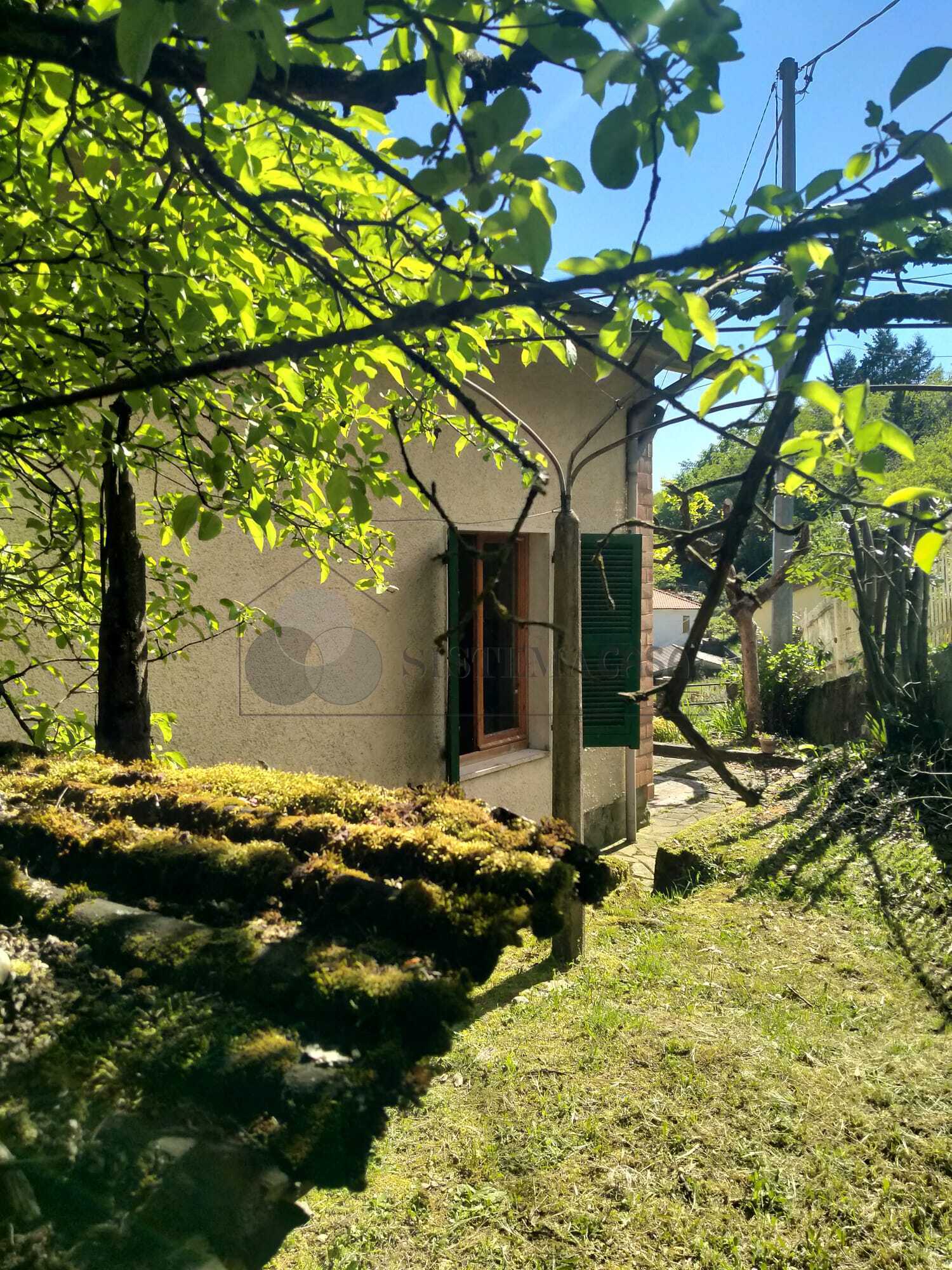  - foto 14