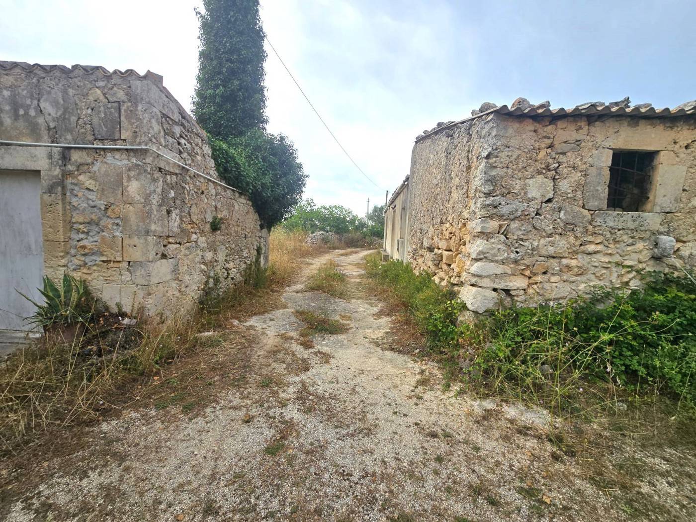  - foto 5