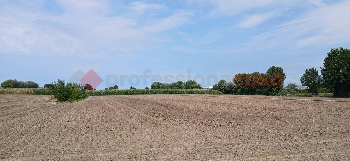 Terreno agricolo, Cologna Veneta