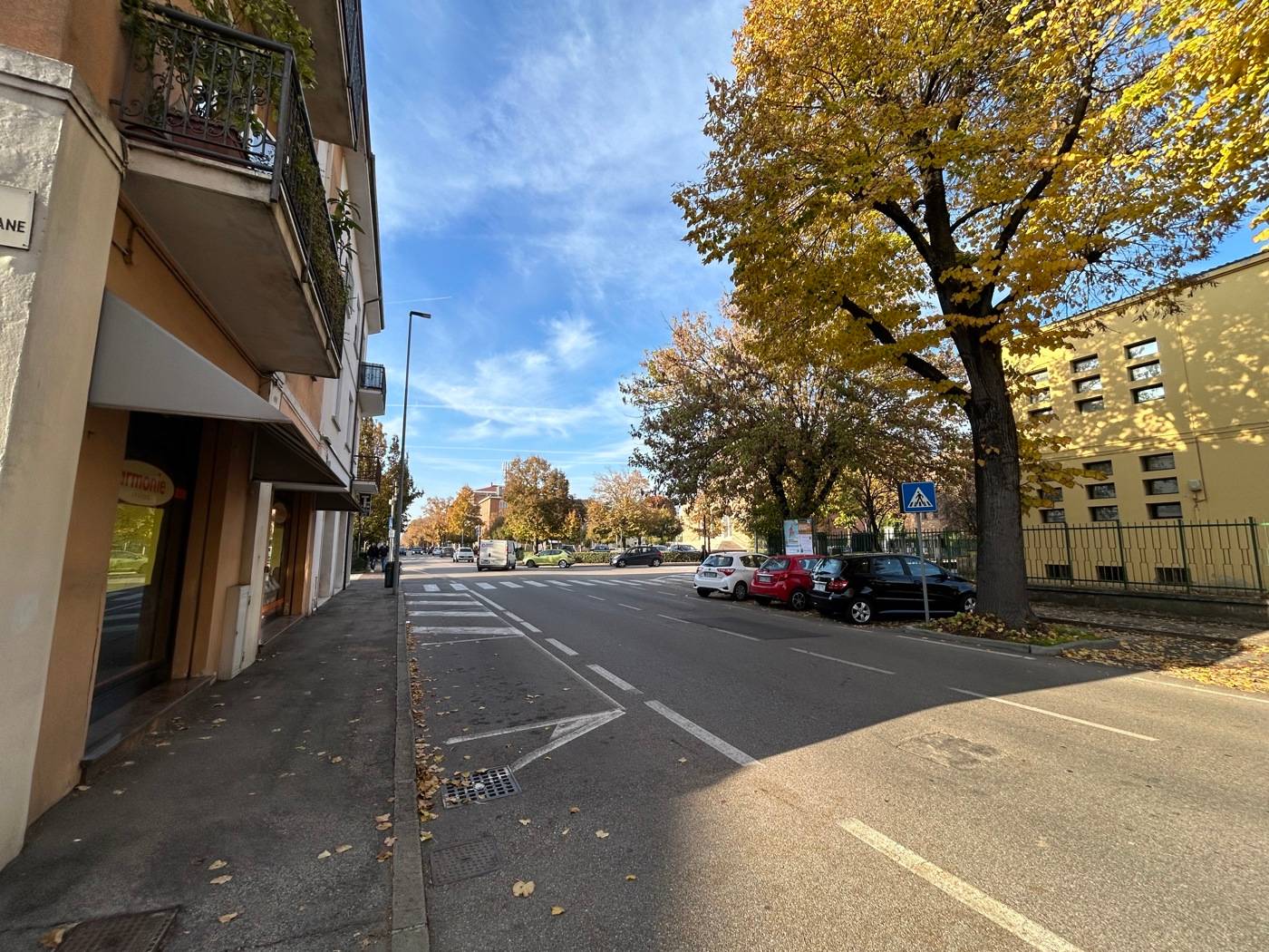 Negozio, Legnago