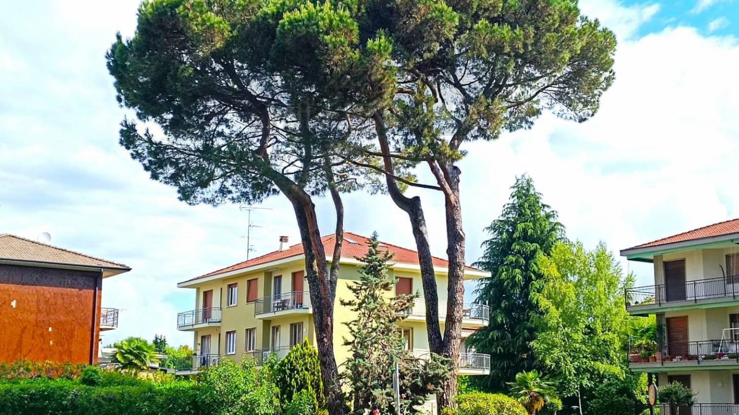  - foto 2