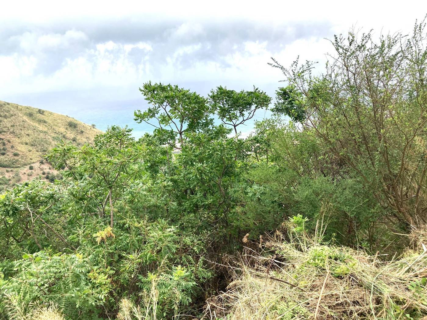  - foto 4