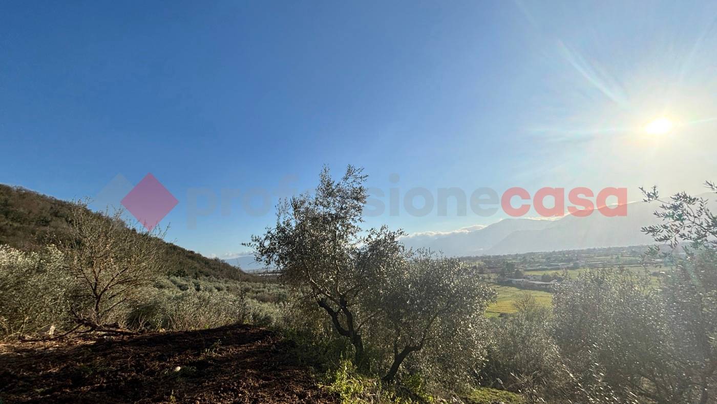 Rustico, Ferentino