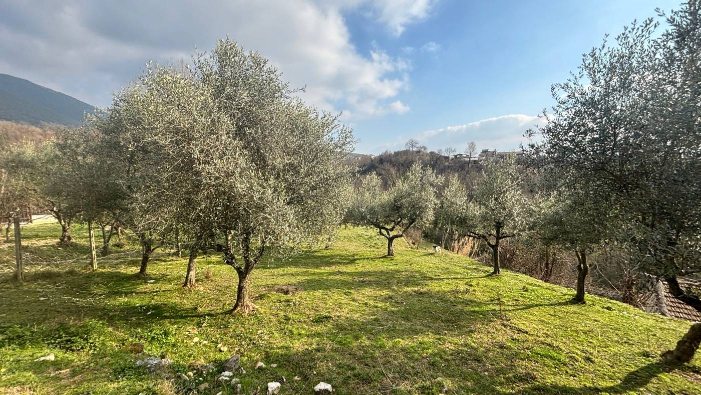 Rustico, Alatri