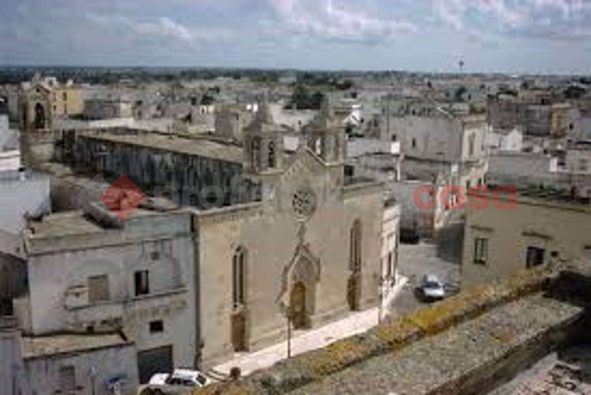Negozio, Nociglia
