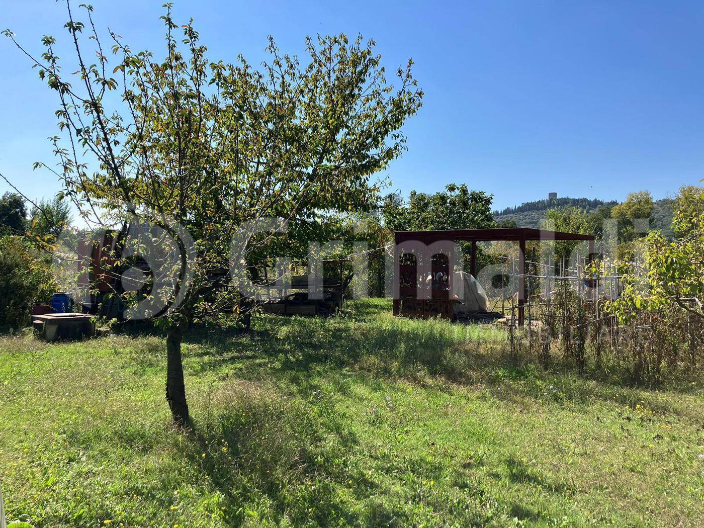 Terreno agricolo, Magione