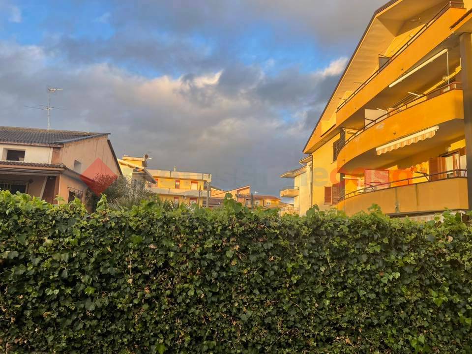  - foto 5