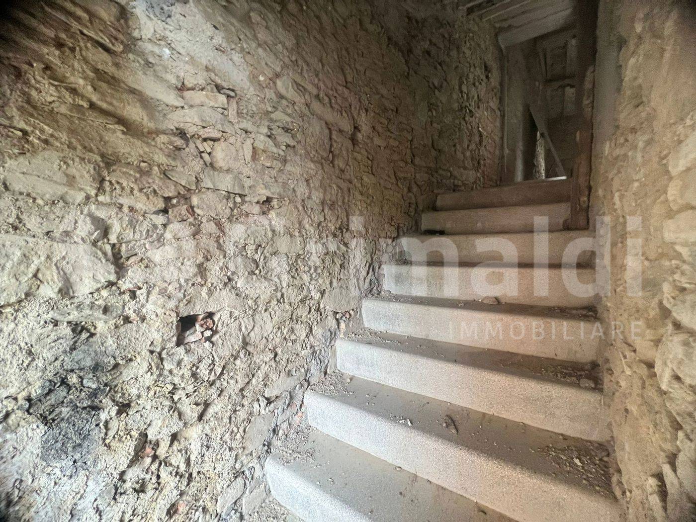  - foto 7