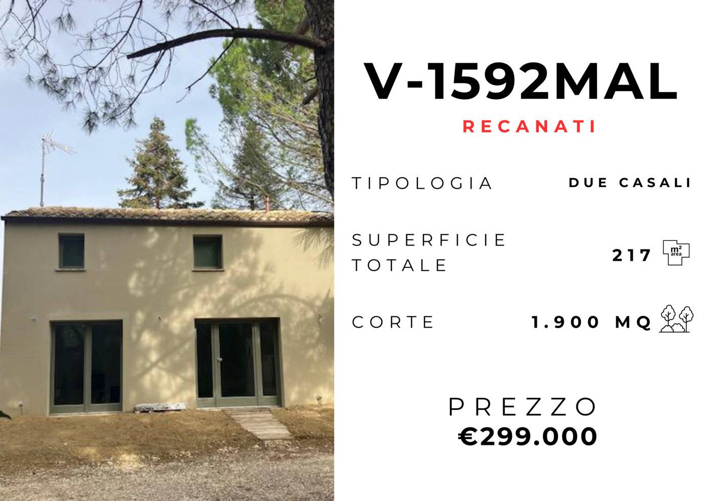  - foto 2