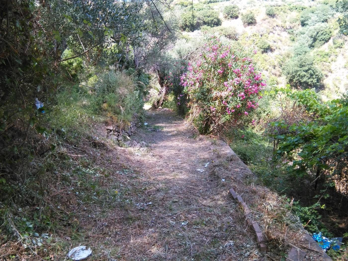 - foto 3