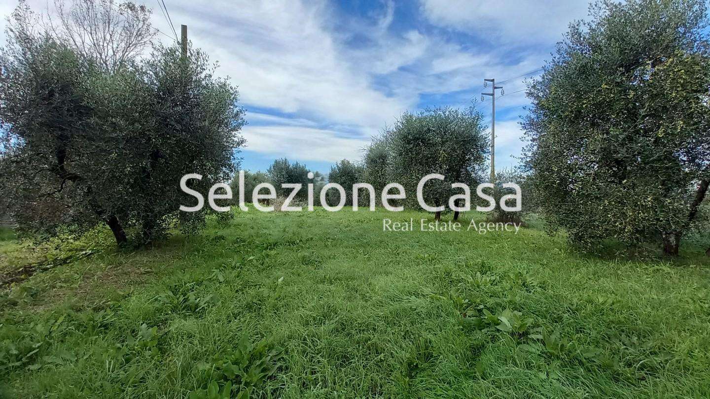  - foto 11