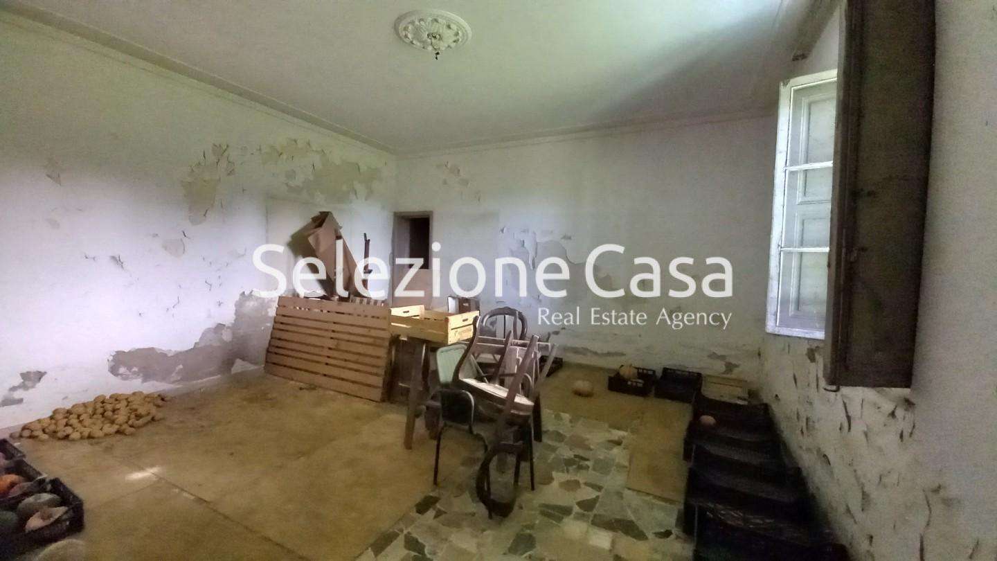  - foto 6