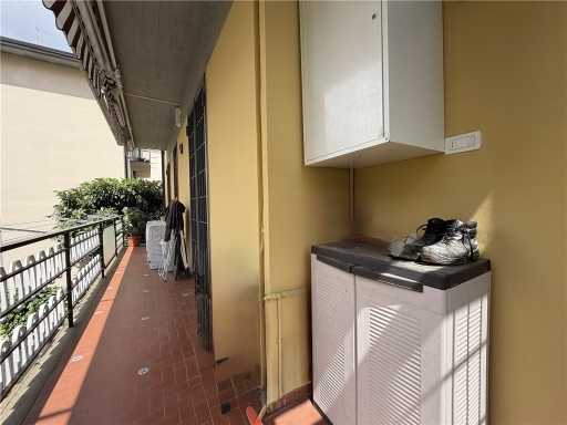  - foto 51