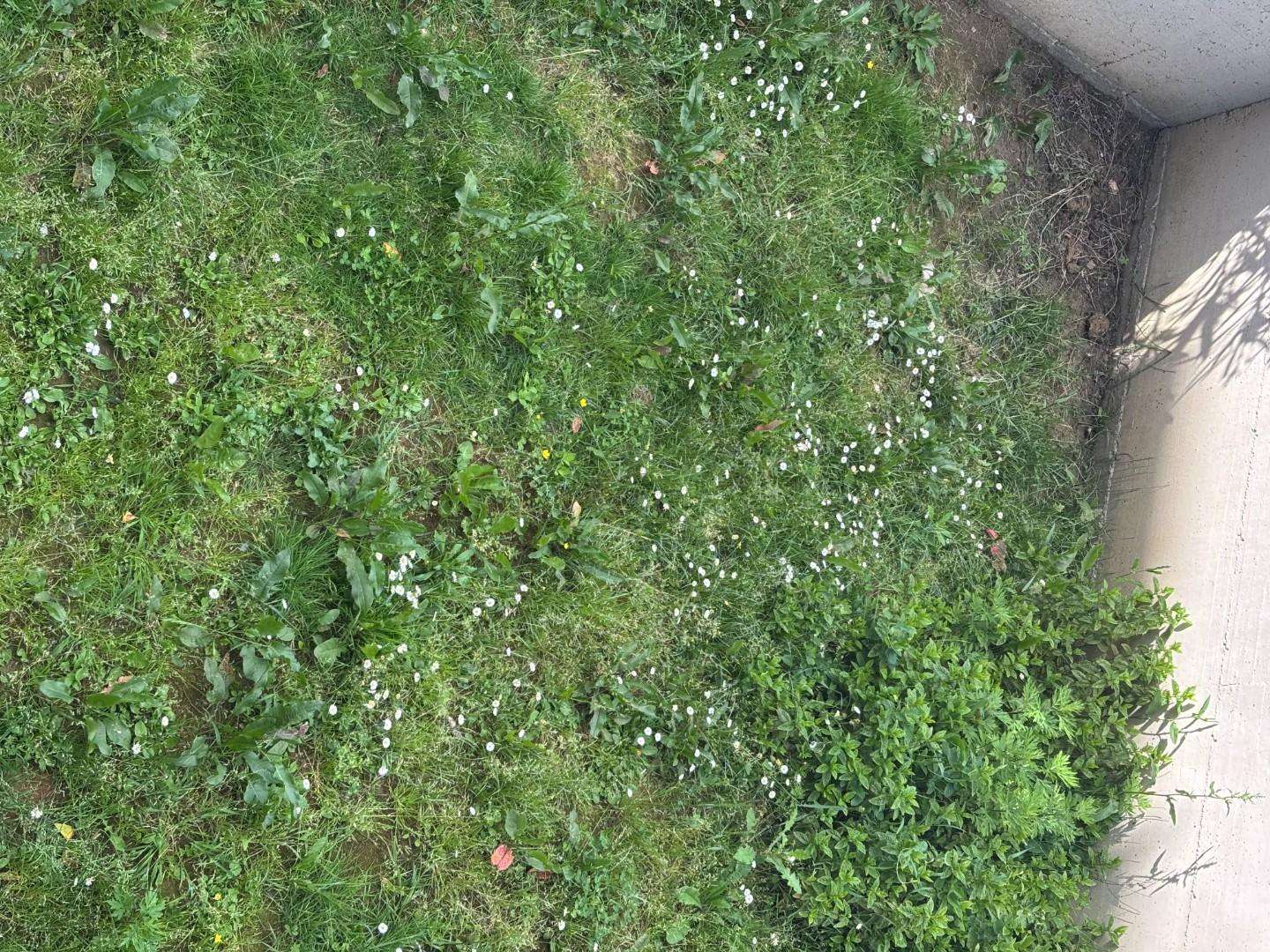  - foto 17