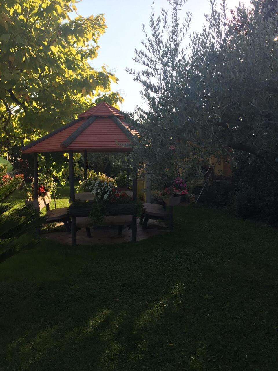  - foto 37