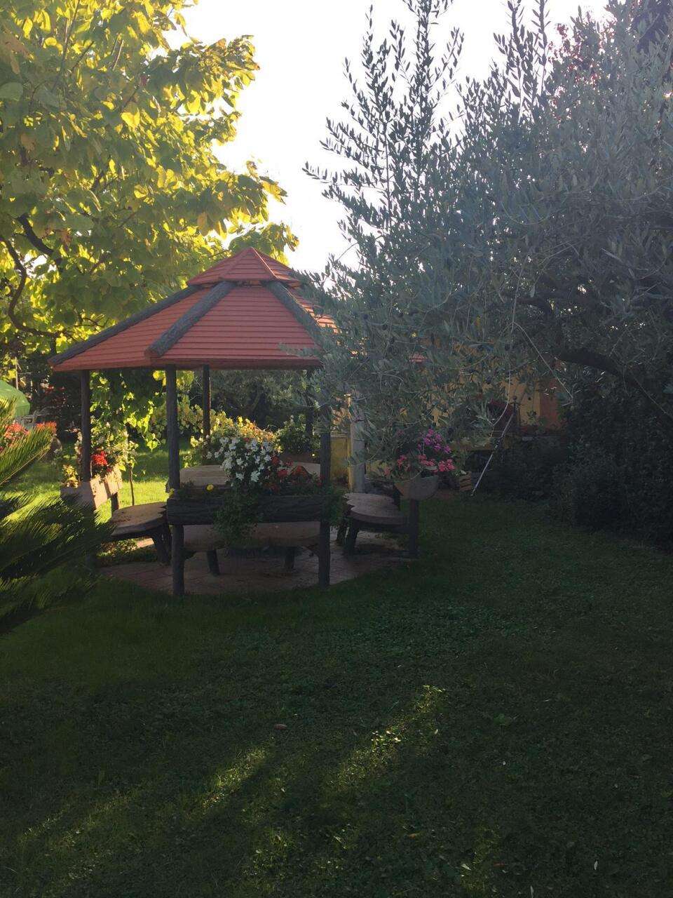  - foto 38