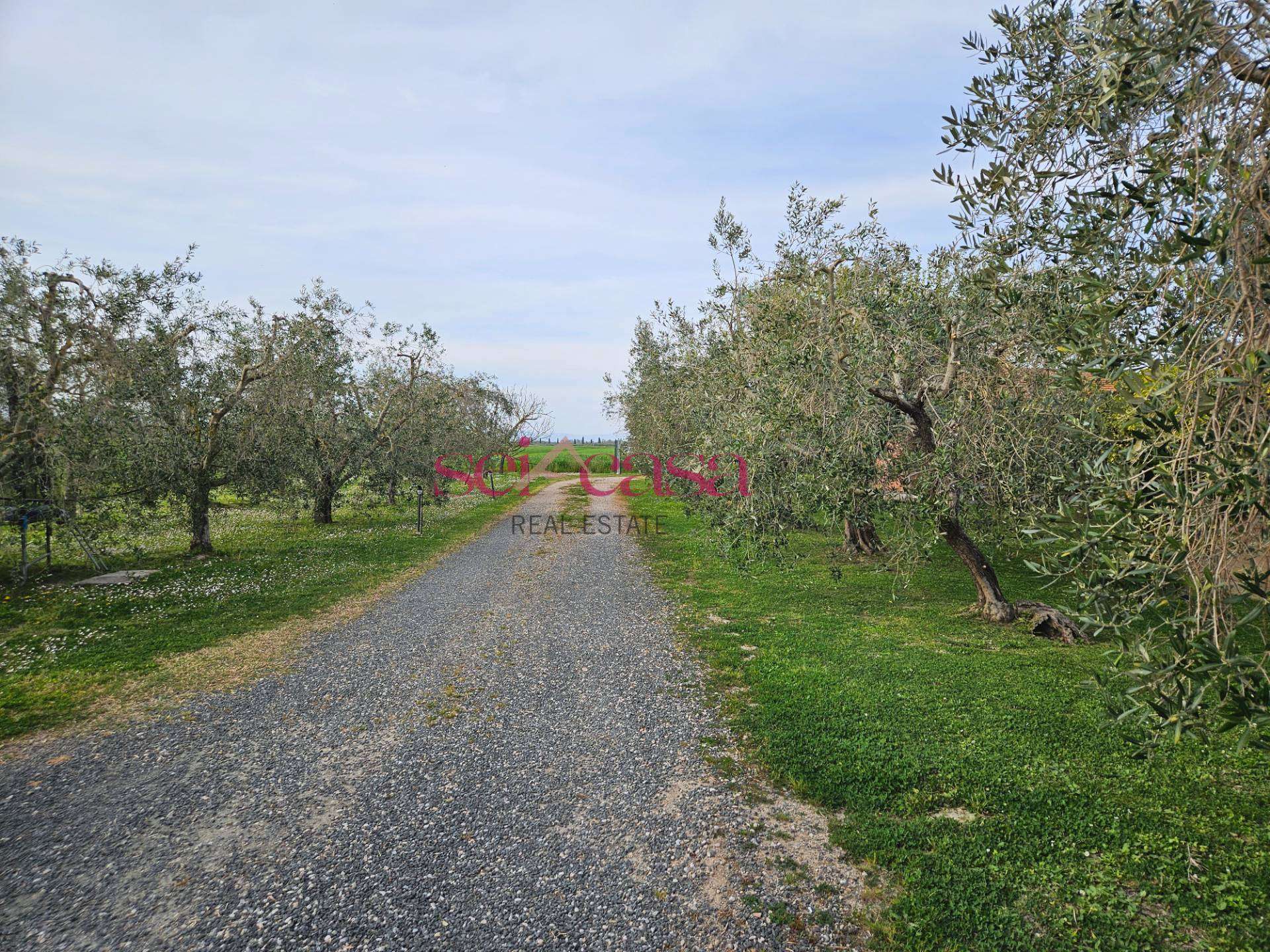  - foto 23