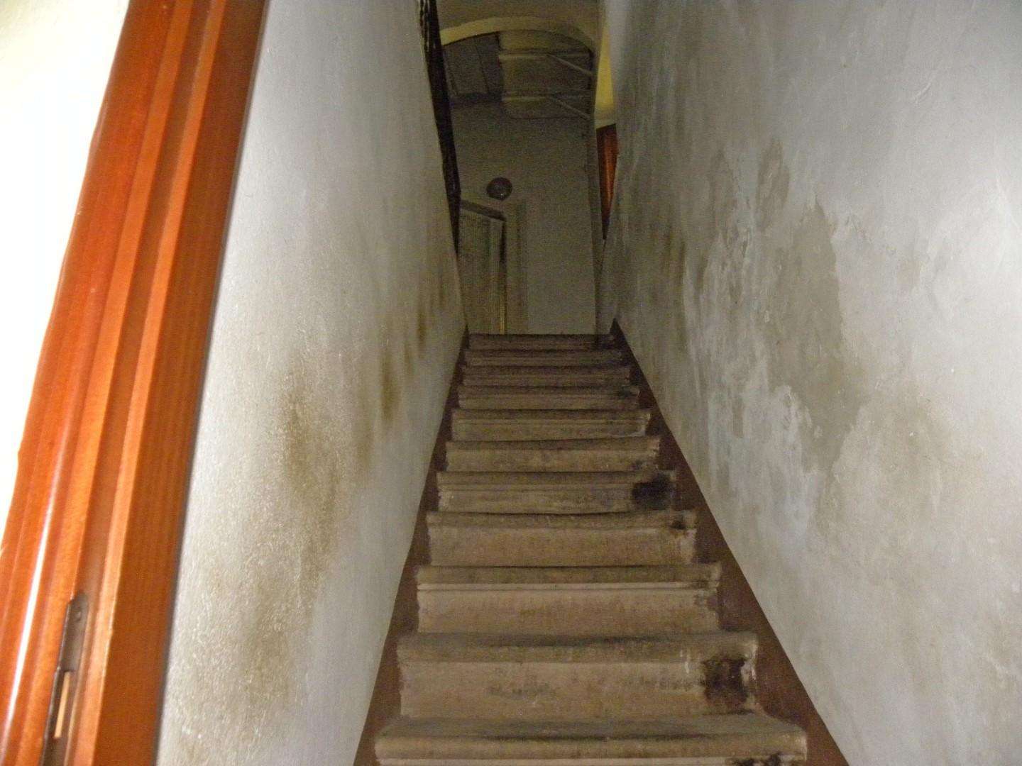  - foto 29