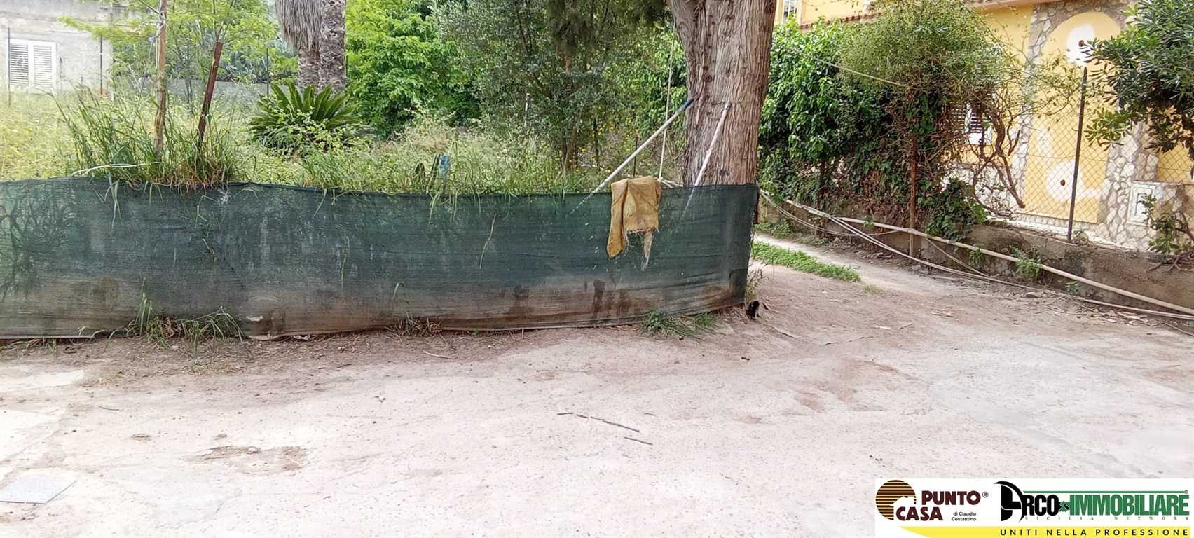  - foto 12