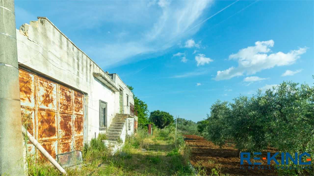  - foto 6