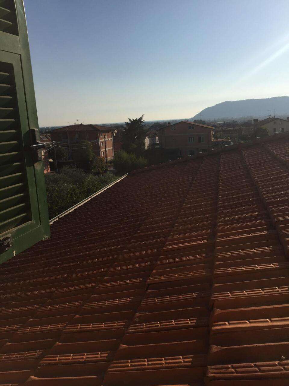  - foto 11