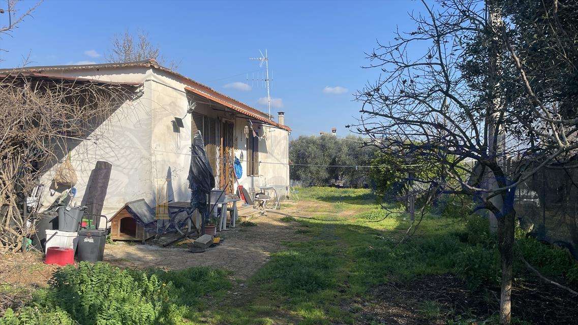  - foto 4