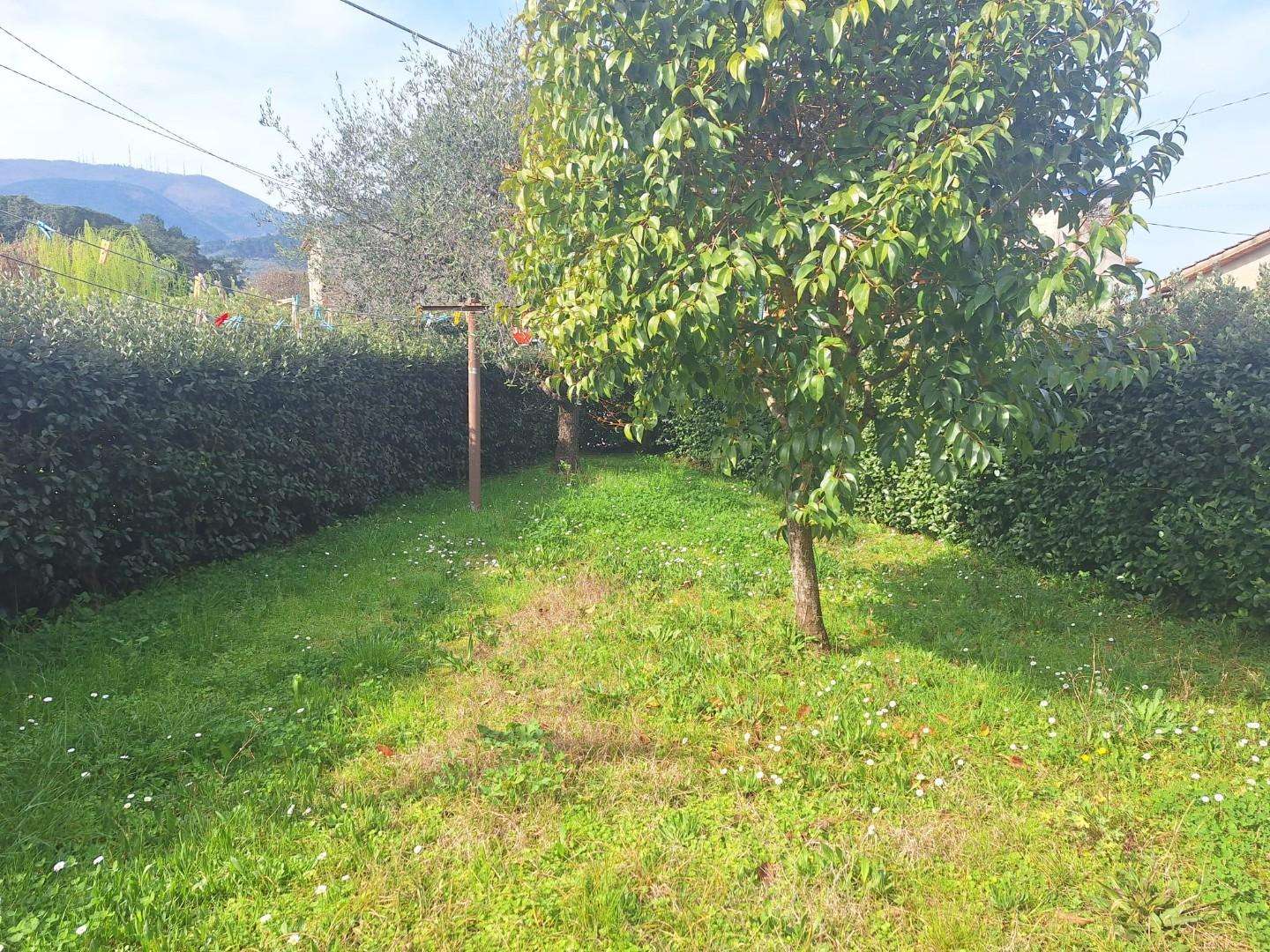  - foto 16