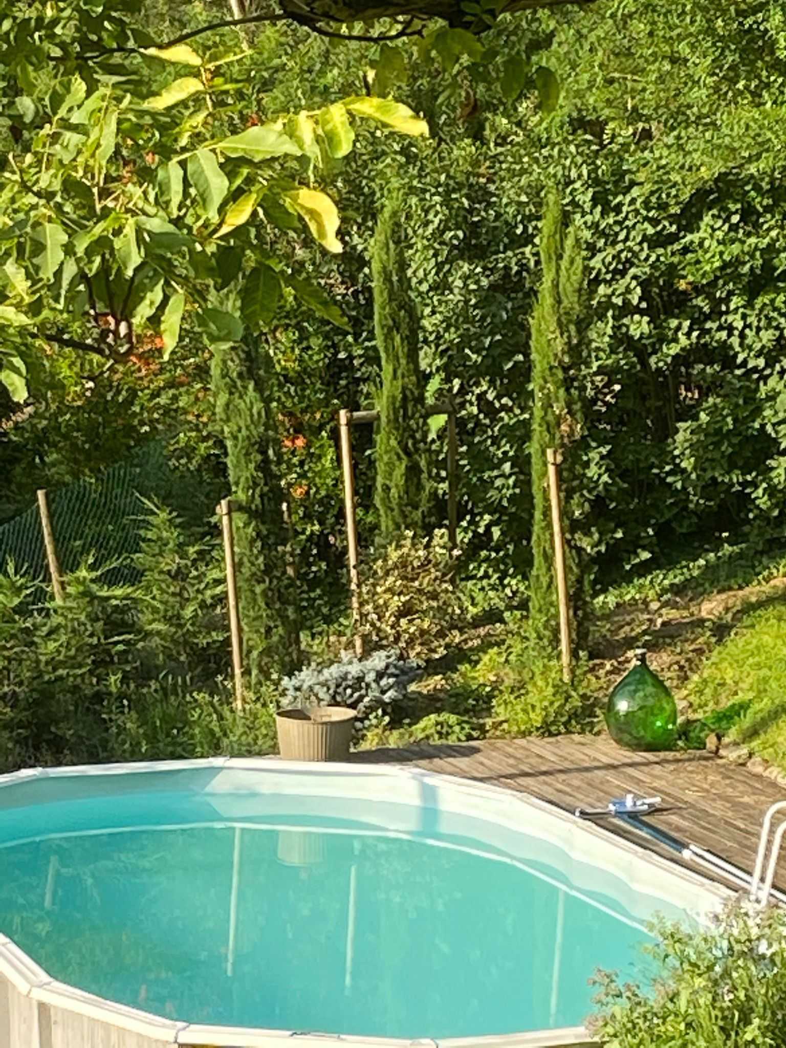  - foto 59