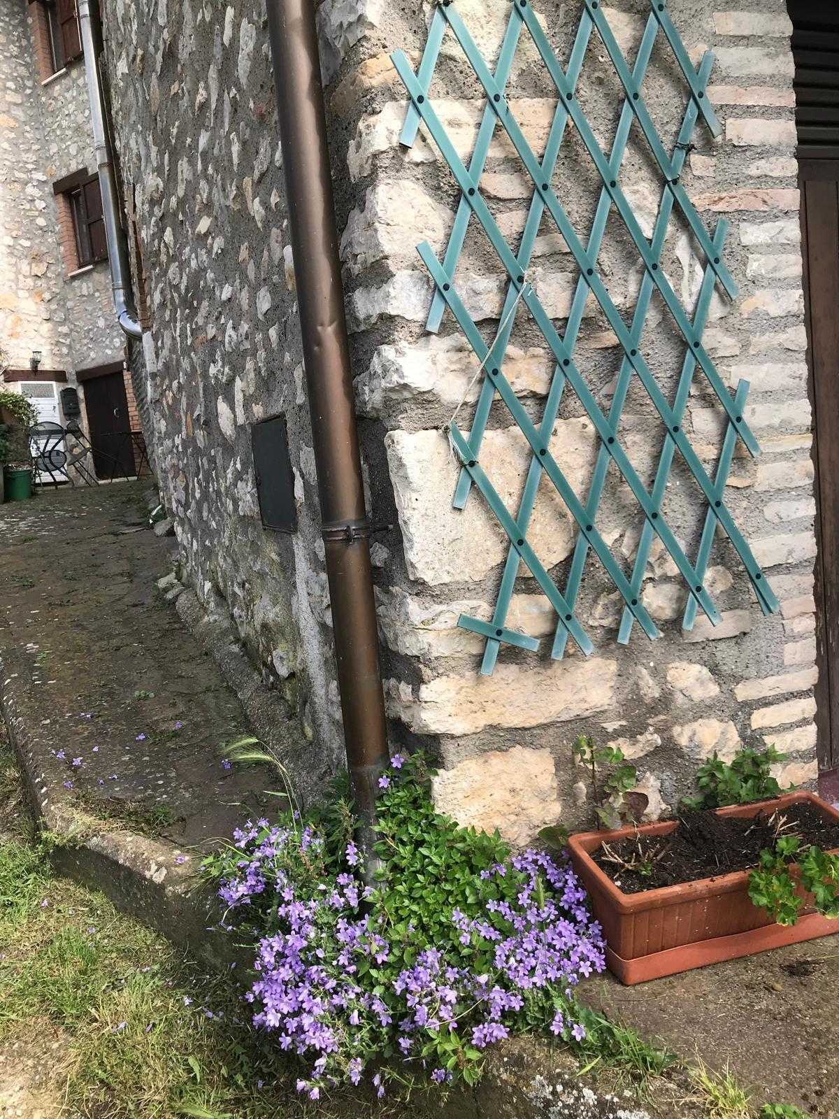  - foto 9