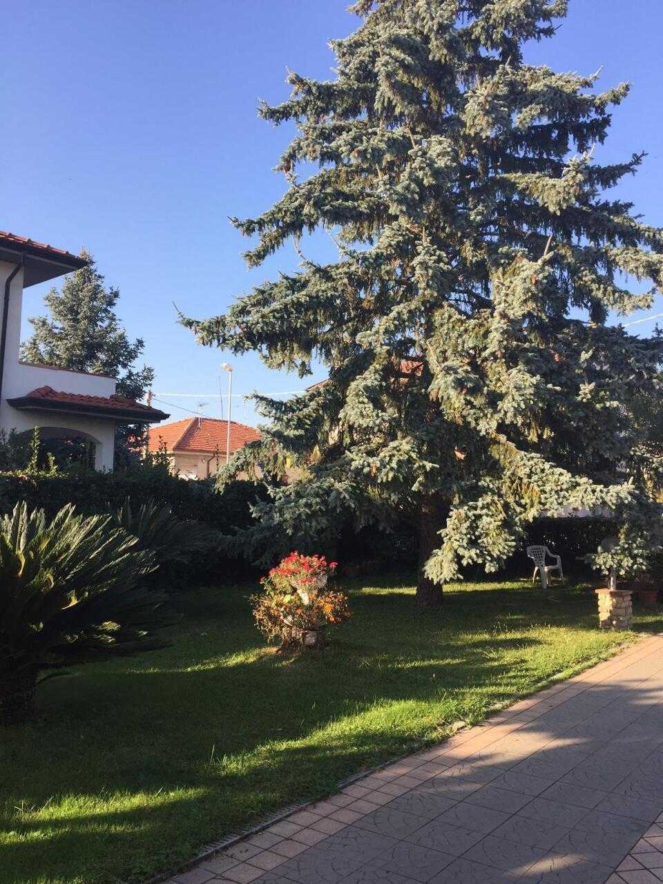  - foto 3