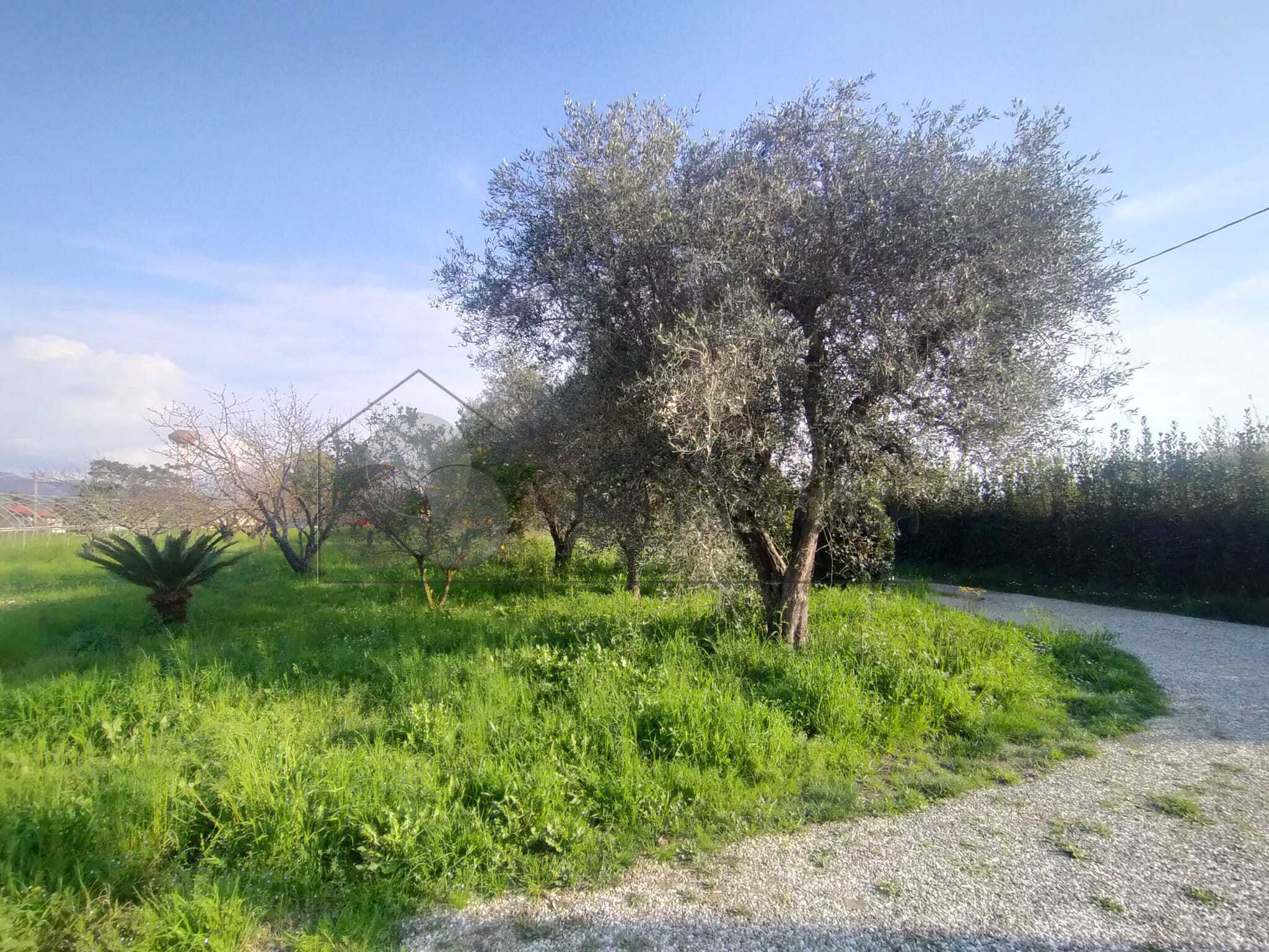  - foto 13