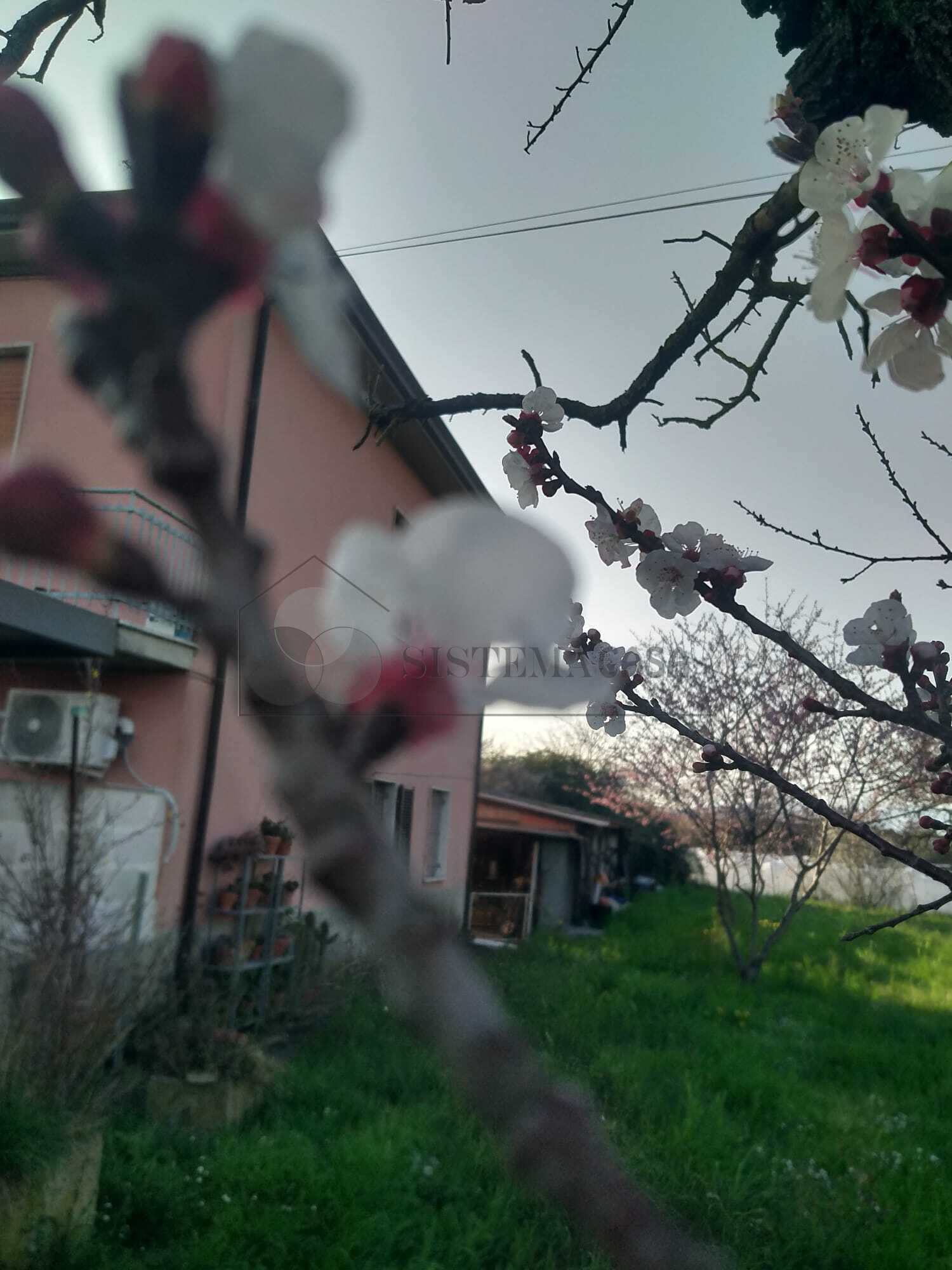  - foto 16