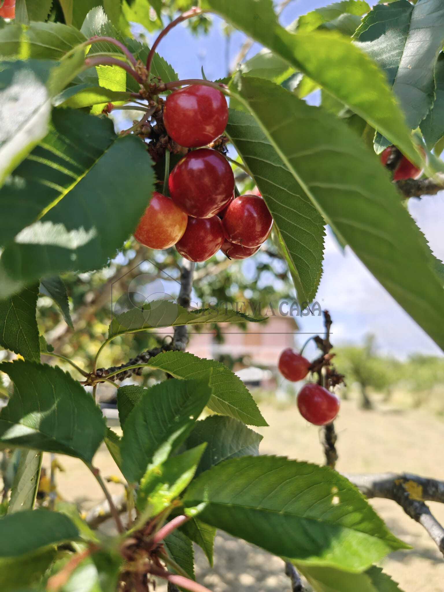  - foto 21