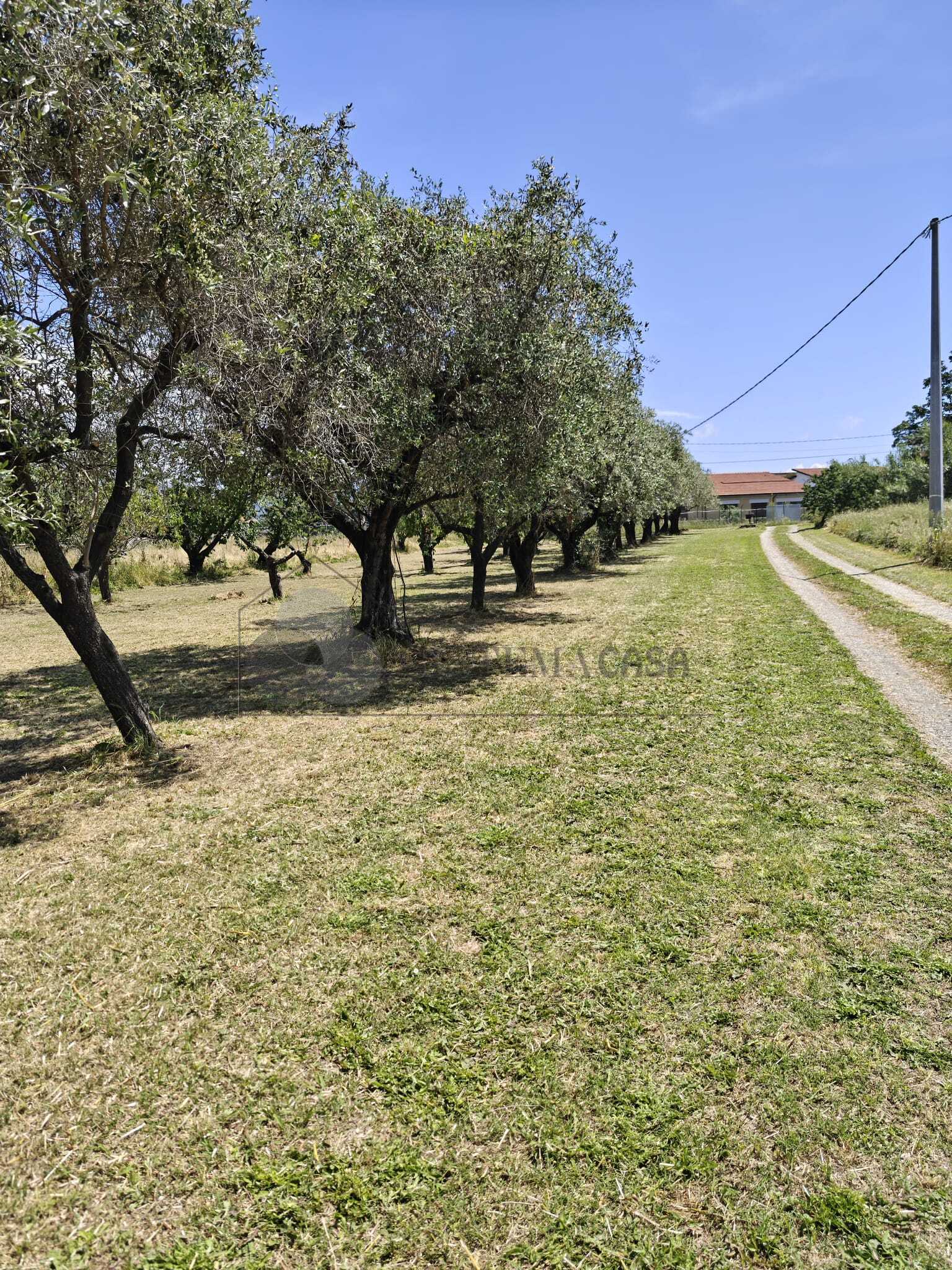  - foto 22