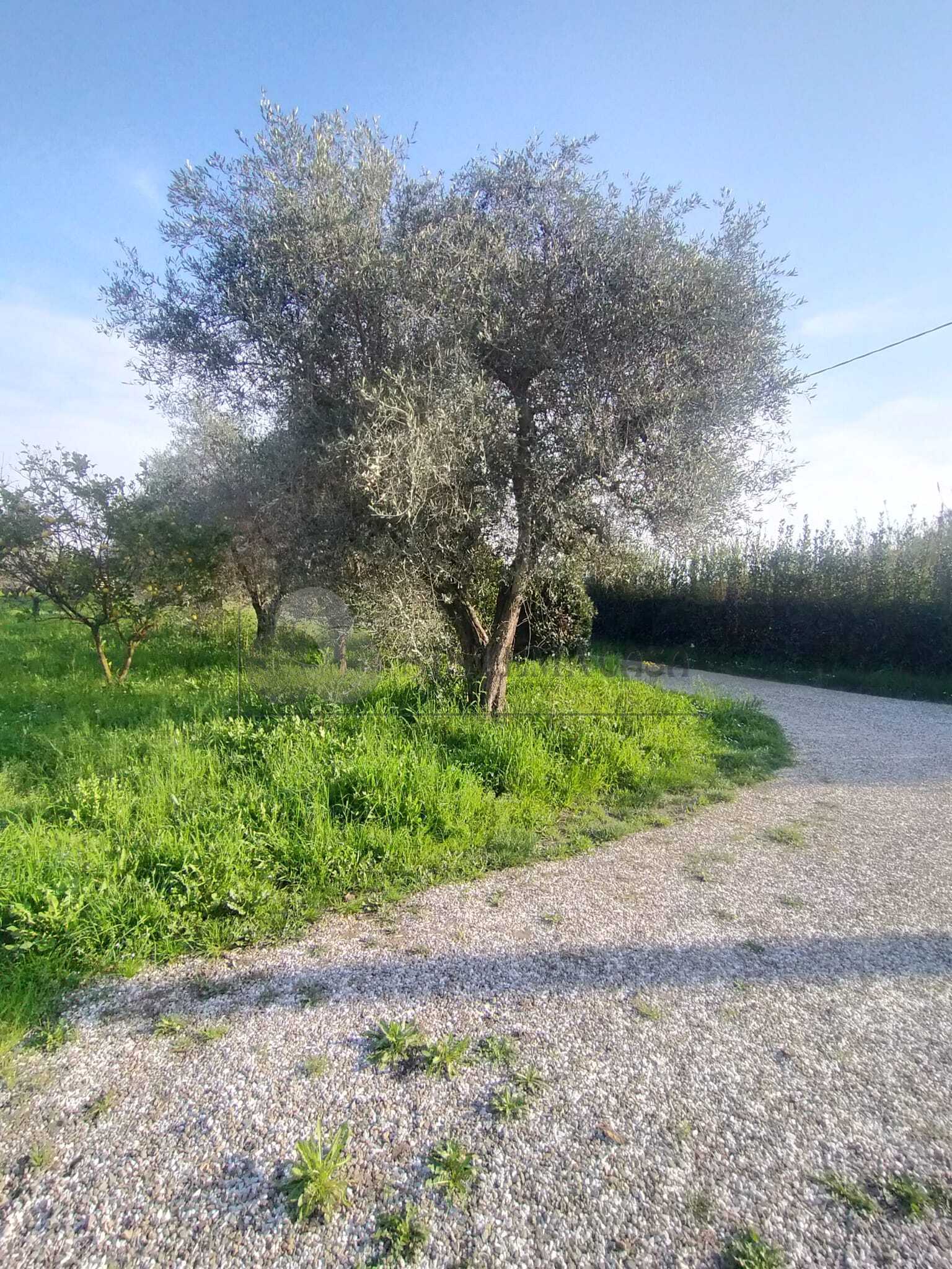  - foto 6
