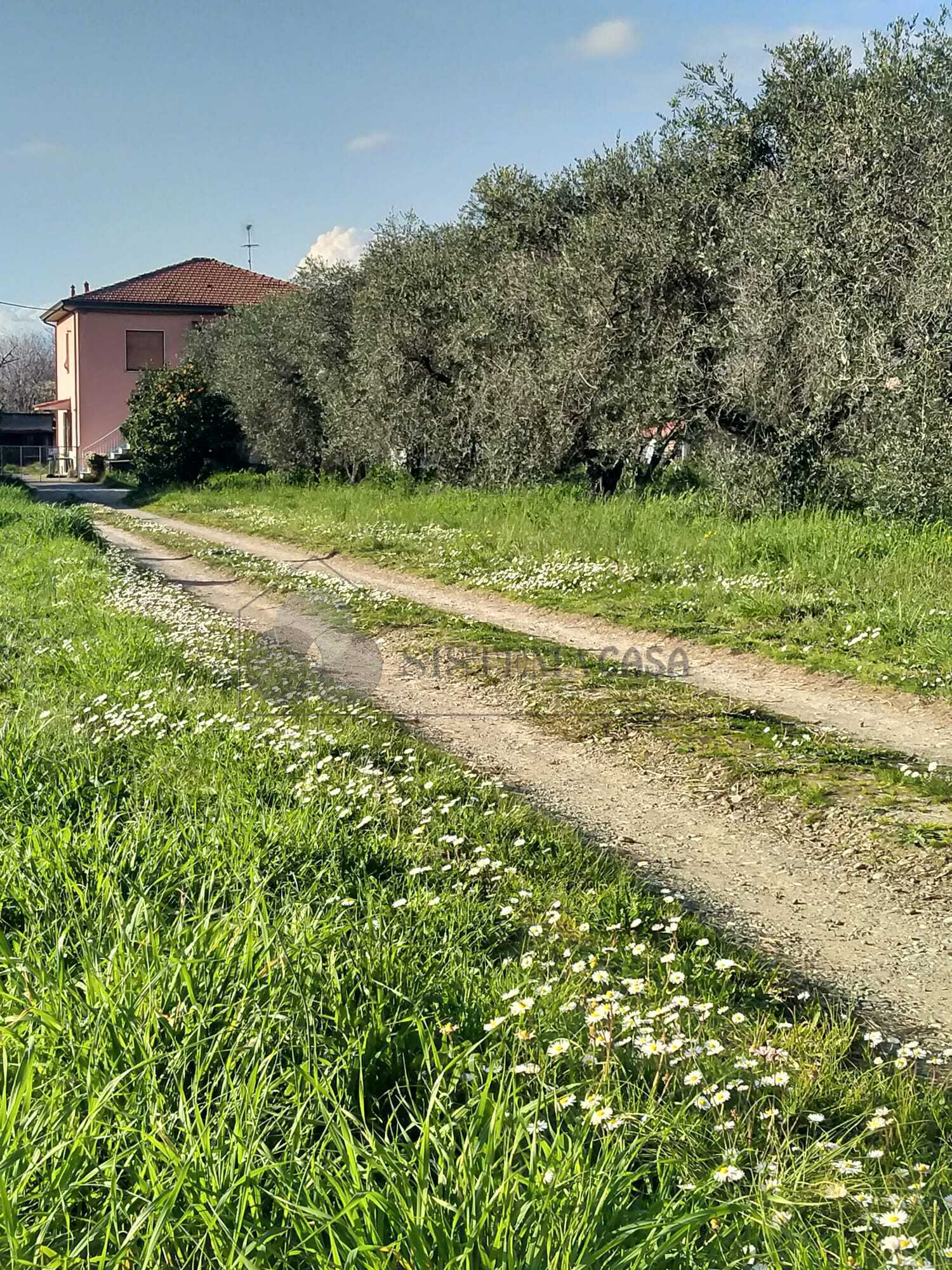  - foto 7