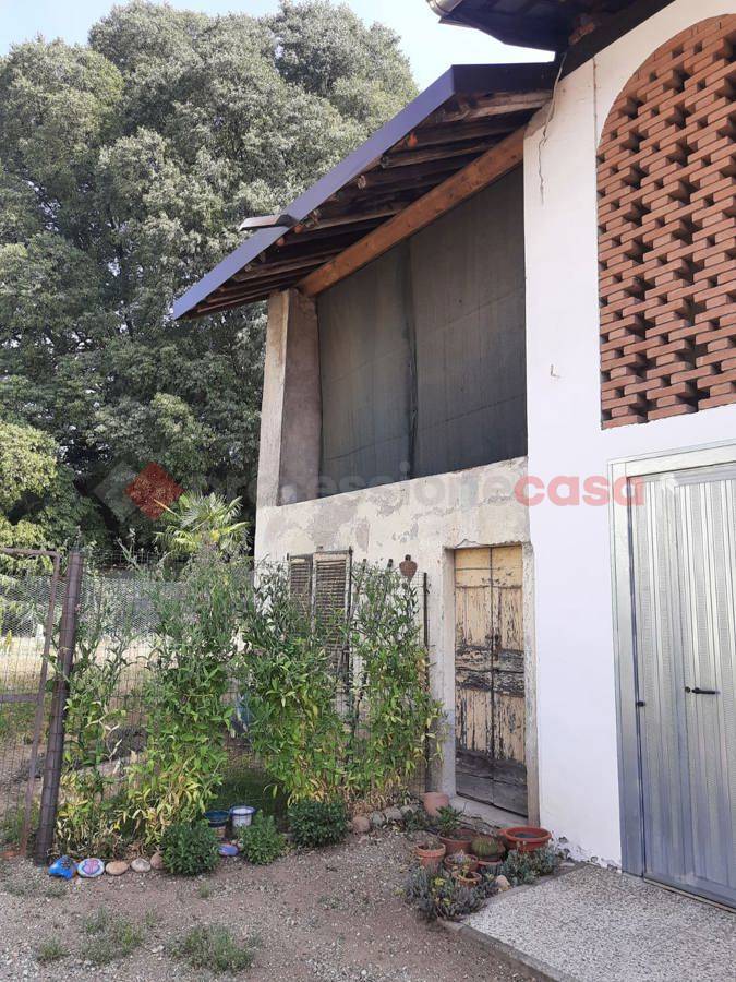Rustico, Buscate