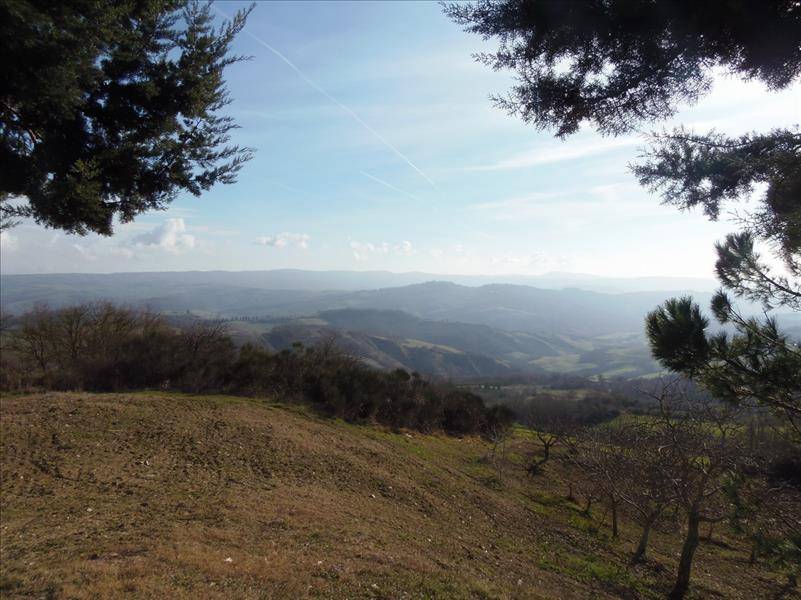  - foto 4